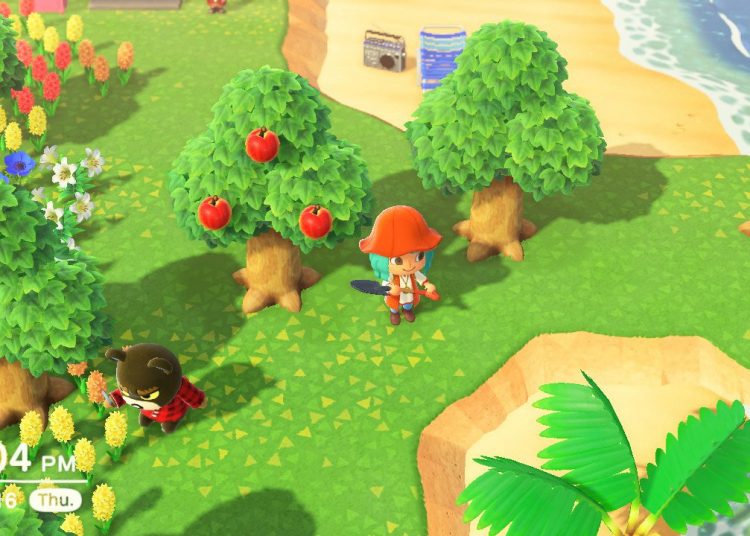 What Things You Should Do Everyday In New Horizons