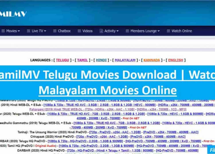 Tamilmv Torrent Tamilmv Com nn pw : Best Movie Downloading website link