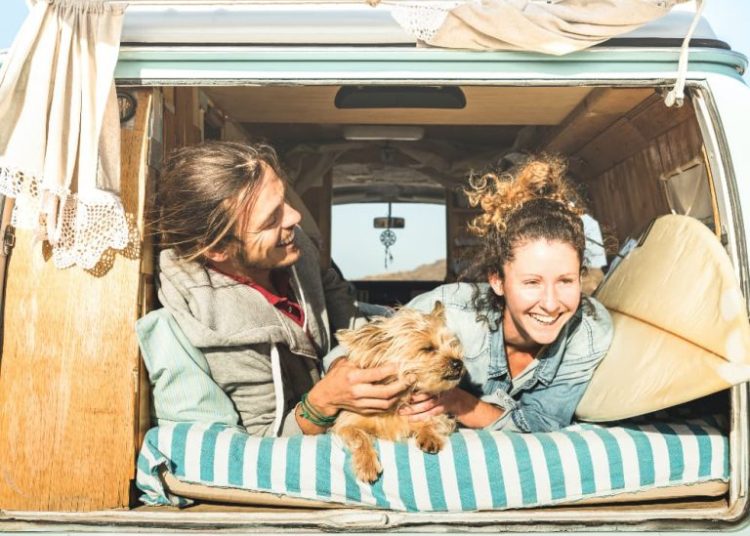 A Road Trip With Your Dog?