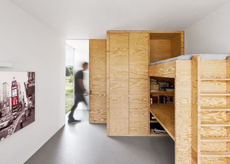 Why is Plywood Designing the Best Architectural Innovation of the Century?