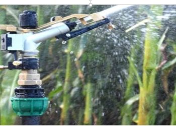 Why choose a Rain Gun for Irrigation