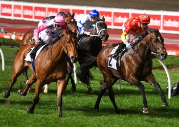 How to place a wager on Moir Stakes horse racing event 2022