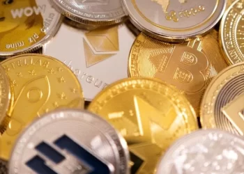 Why use the crypto tax in the USA for income holders?