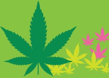 Got A Birthday Reward at A Cannabis Dispensary in Egg Harbor Township? Here’s How You Can Spend It!