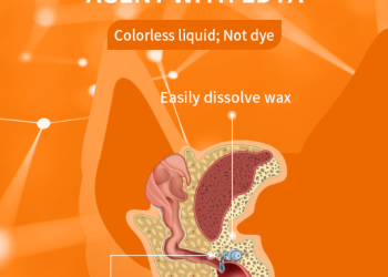 Clearing the Air: How to Eliminate Ear Odor and Prevent Infection in Pets