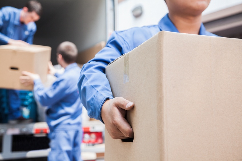 Why Brisbane’s Young and Mobile Workforce Is Reshaping the Future of Urban Moving Services